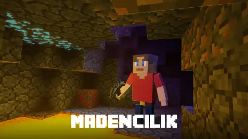 Block World 3D: El İşi & İnşa 5