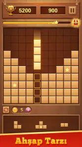 Blok Bulmaca Ahşap Blast screenshot