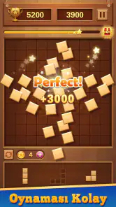 Blok Bulmaca Ahşap Blast screenshot