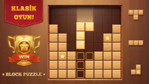 Blok Bulmaca Ahşap Blast screenshot