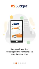 Budget Türkiye screenshot