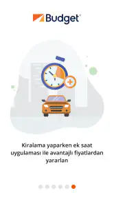 Budget Türkiye screenshot