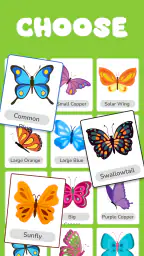 Butterfly Draw Step by Step 3