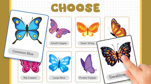 Butterfly Draw Step by Step 5