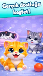 Cat Escape Sanal Kedi Oyunları 5