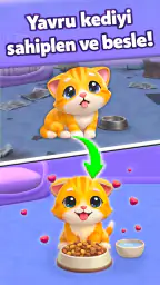 Cat Escape Sanal Kedi Oyunları 7