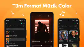 Çevrimdışı Müzik Audio Insigh screenshot
