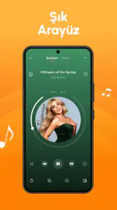 Çevrimdışı Müzik Audio Insigh screenshot