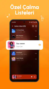 Çevrimdışı Müzik Audio Insigh screenshot