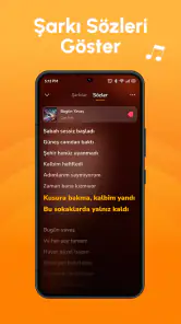 Çevrimdışı Müzik Audio Insigh screenshot