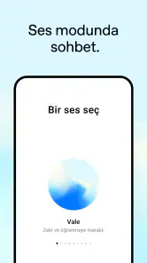 ChatGPT screenshot