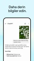 ChatGPT 4