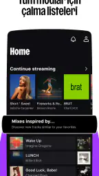 Deezer: müzik indirme programı 6