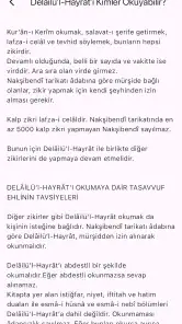 Delâilü'l Hayrât (Açıklamalı) screenshot