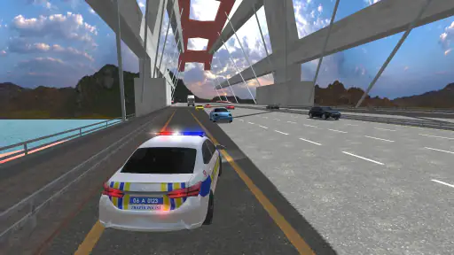 Devriye: Türk Polis Oyunu 8
