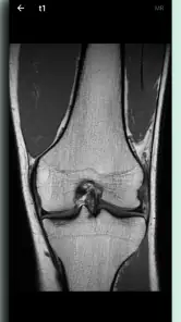 DICOM Viewer screenshot