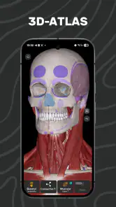 Easy Anatomy 3D screenshot