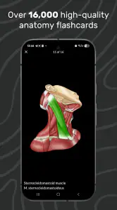 Easy Anatomy 3D screenshot