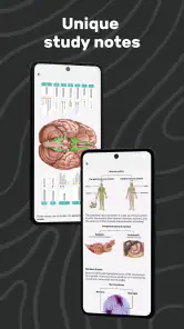 Easy Anatomy 3D screenshot