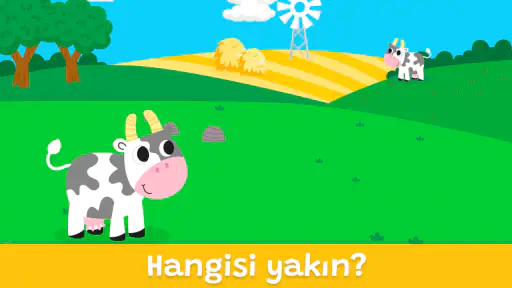 Eğitici Oyun: Şekiller Renkler 6