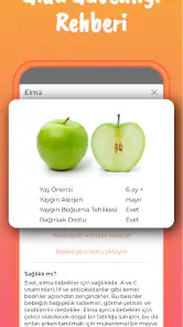 Ek Gıda & Bebek Tarifleri screenshot