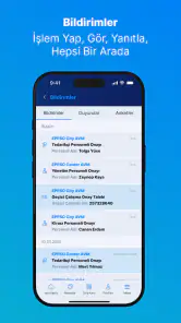 EPPSO screenshot