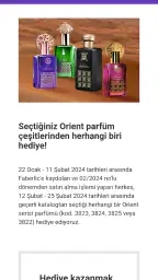 Faberlic müşteri asistanı 3