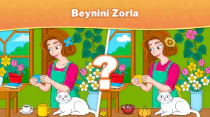 Farklılıkları Bulma Oyunu screenshot