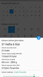 FAST Gebelik Haftası Hesaplama 2