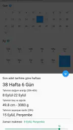FAST Gebelik Haftası Hesaplama 3