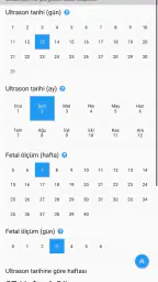 FAST Gebelik Haftası Hesaplama 4