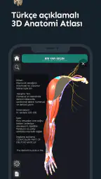 Finito Medicine: Tıp Asistanı 3