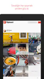 Flipboard 7