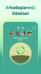 Forest - Odaklan screenshot