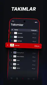 Formulap: Formula 1 sonuçları screenshot