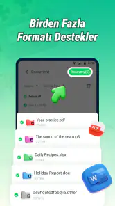 Fotoğraf Kurtarma Swift screenshot