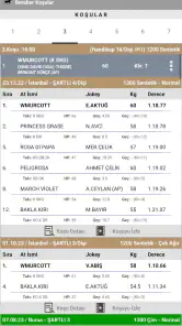 Ganyan Canavarı - At Yarışları screenshot