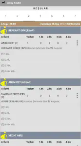 Ganyan Canavarı - At Yarışları screenshot