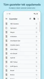Gazeteler 1