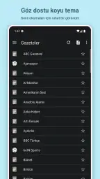 Gazeteler 2