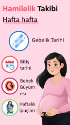 Gebelık Hesaplama & Takvimi 2