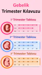 Gebelık Hesaplama & Takvimi 3