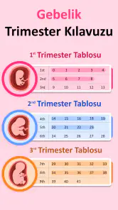 Gebelık Hesaplama & Takvimi screenshot