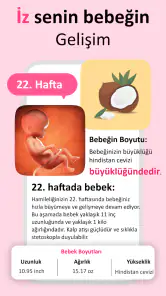 Gebelık Hesaplama & Takvimi screenshot