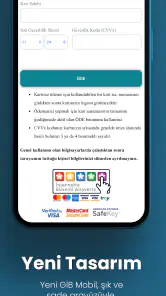GİB screenshot