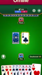Gin Rummy: Klasik Kart Oyunu screenshot
