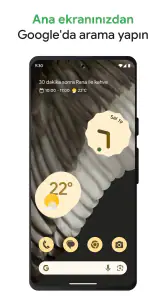 Google screenshot