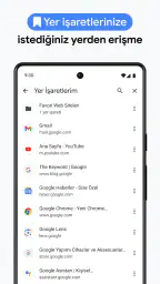 Google Chrome 8