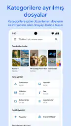 Google Files 1