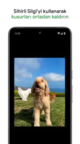 Google Fotoğraflar screenshot